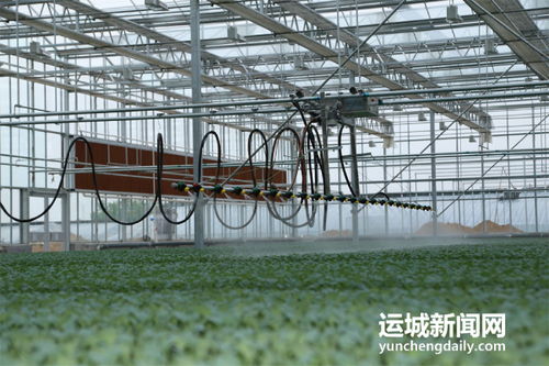 夏縣積極籌備第七屆中國山西特色農產品交易博覽會，夯實初級農產品營銷基礎