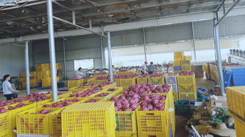 農產品深加工 邁向品牌化的必經之路